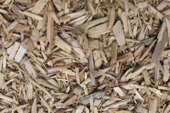 biomass boilers Shopwyke